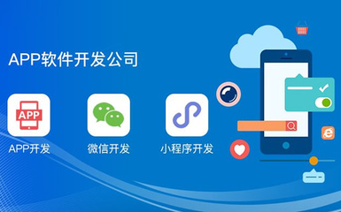 APP开发与软件开发 概念辨析、流程与趋势